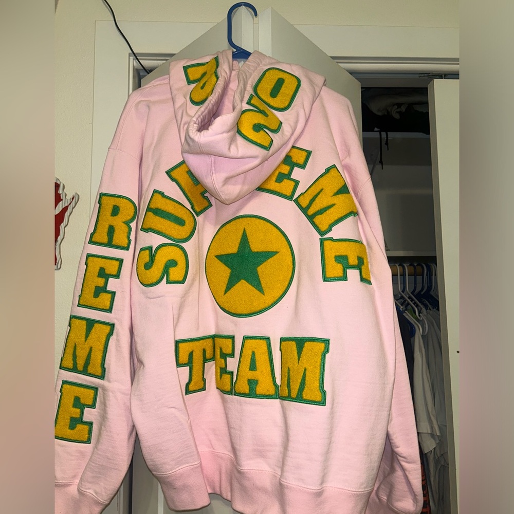 Supreme Team Chenille Hooded Sweatshirt Pink